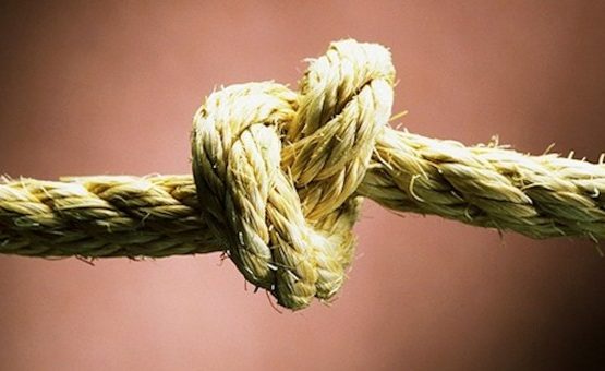 Zit er nou een knoop in mijn spier? - Fy-fit Fysiotherapie Nijmegen Zit